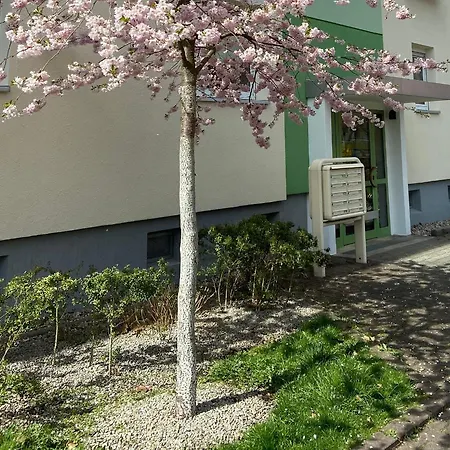 Schoene Kleine Wohnung Cottbus Exterior photo