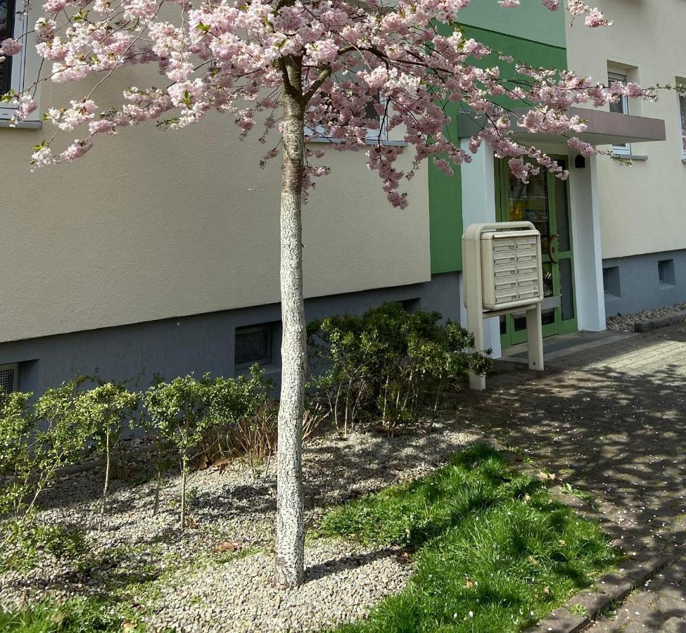 Apartment Schoene Kleine Cottbus